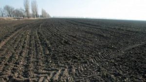 Отримати дозвіл на зняття ґрунту Чернівці